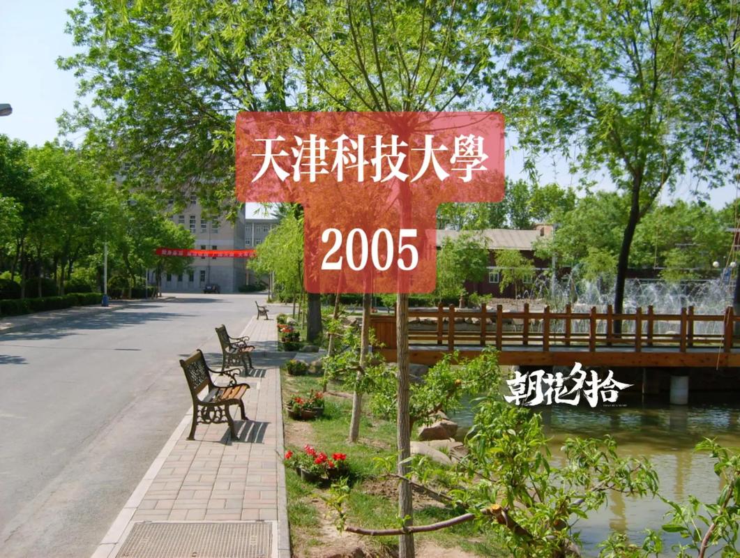 二十年前的天津科技大學 河西校區的那家餐廳，你吃過嗎？